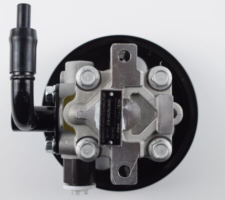 중국 자동차 차시시스템 부품 1102DAA03701N 60bar 2 파이프